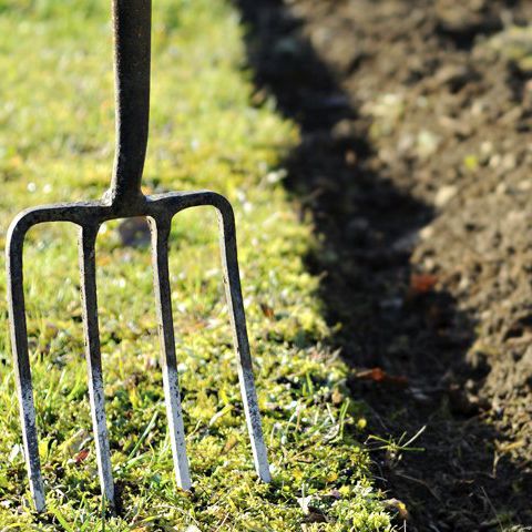 2. Soil preparation is key.jpg