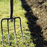 2. Soil preparation is key.jpg