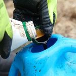 2.4 Seaweed extracts are complex organic fertilisers.jpg