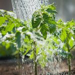 5. Rotate your crops.jpg