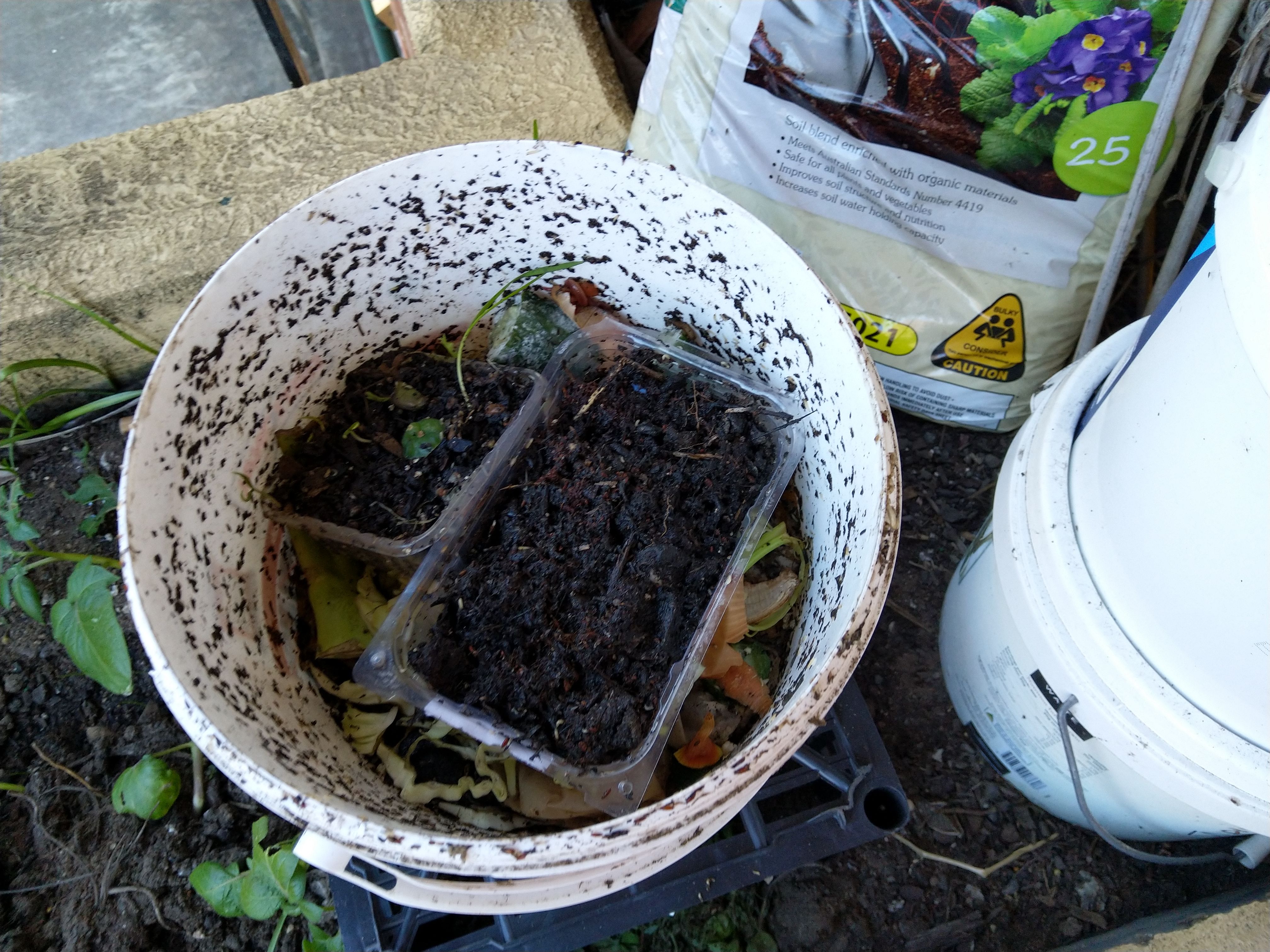 Solved DIY worm farm Bunnings community