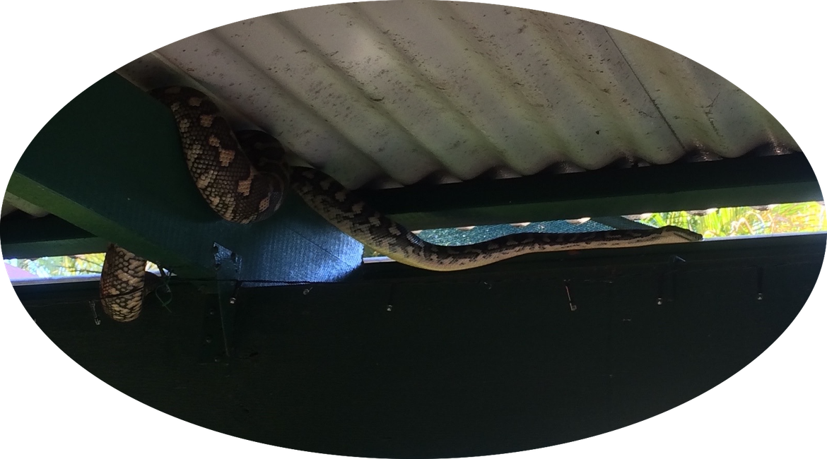 AD916F78-A9EE-4D4C-A391-4F3260FC1289 (1).png