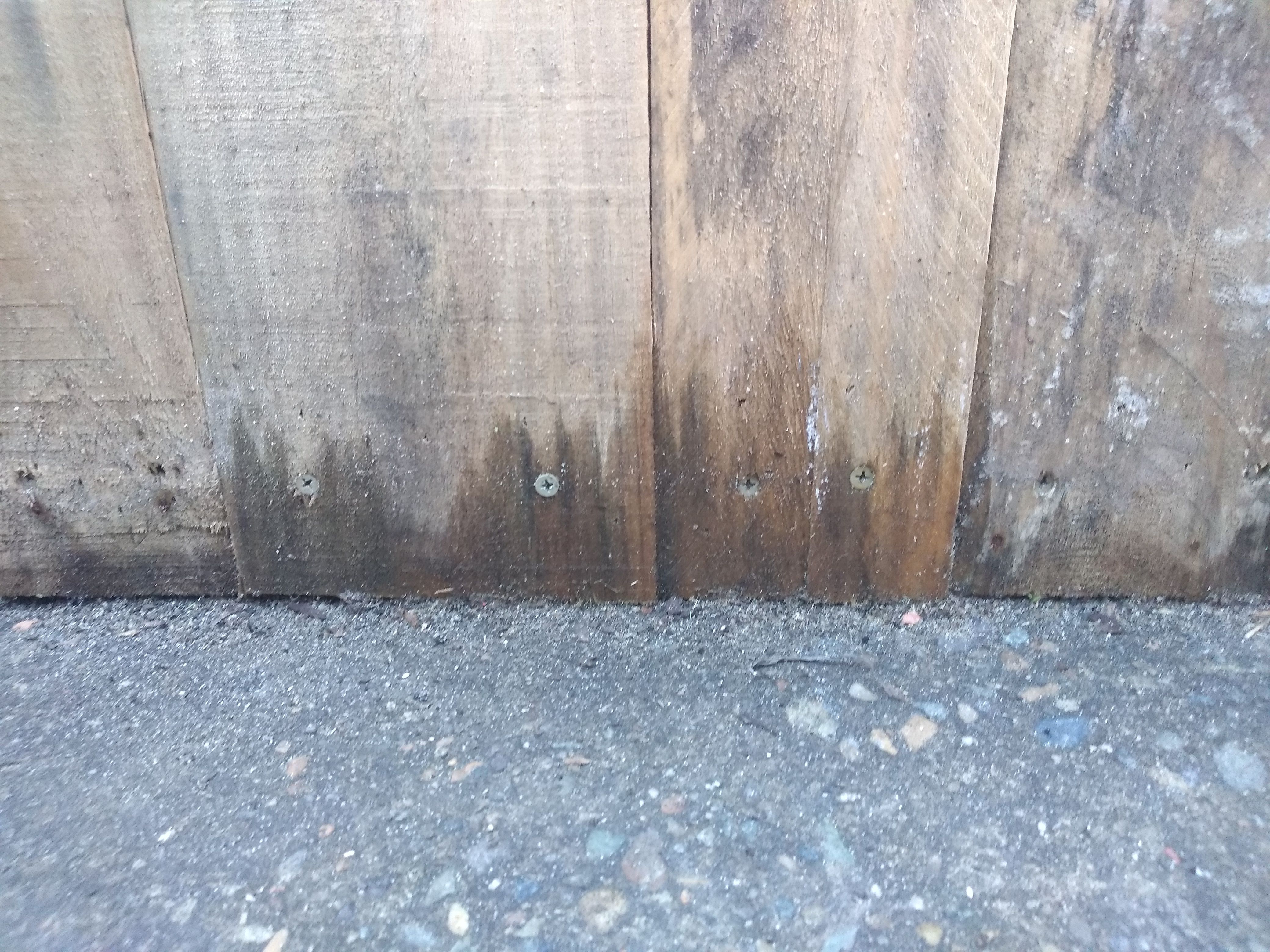 Can I use untreated pallet wood for buil... Bunnings community