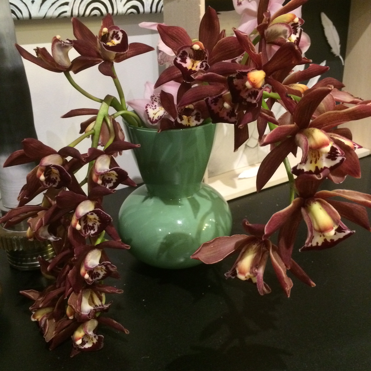 Orchids.JPG