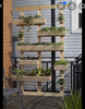 Vertical garden.PNG