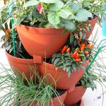 5.1 Be prepared for highs and lows.jpg