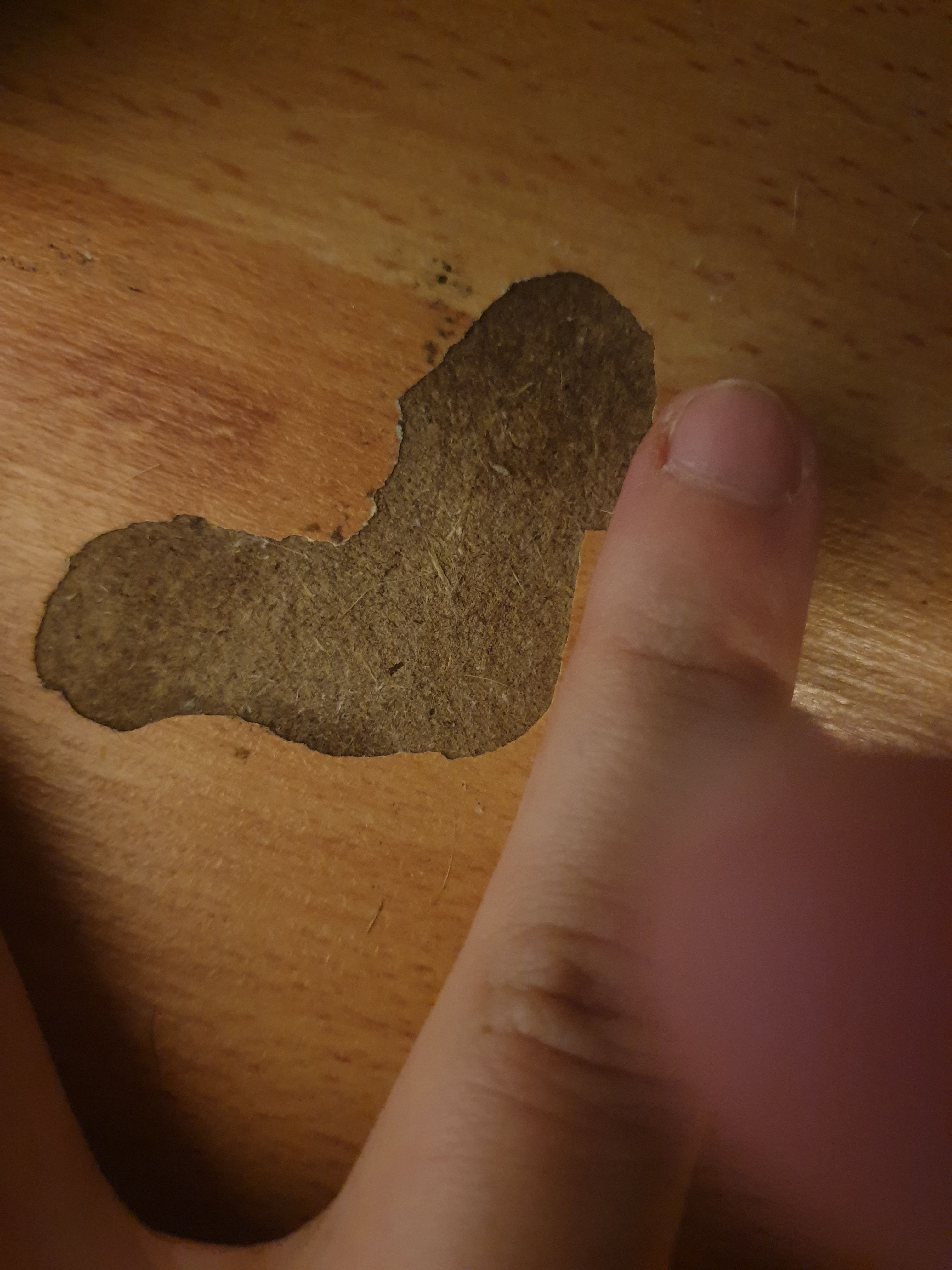 Vinyl Floor Repair Kit Bunnings Flooring Ideas