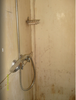 Shower1.png