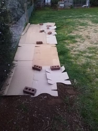 Removed all tape and plastic from the cardboard. Set it out to shape, with overlaps to stop grass and weeds coming through. Hosed it down and soaked it.