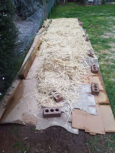 Next was a layer of straw. This is mid way and then that got a hose down as well.