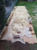 Next was a layer of straw. This is mid way and then that got a hose down as well.