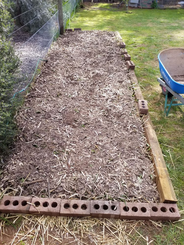 A nice, thick layer of dried and partially broken down leaves go on next. Then a spray from the hose.