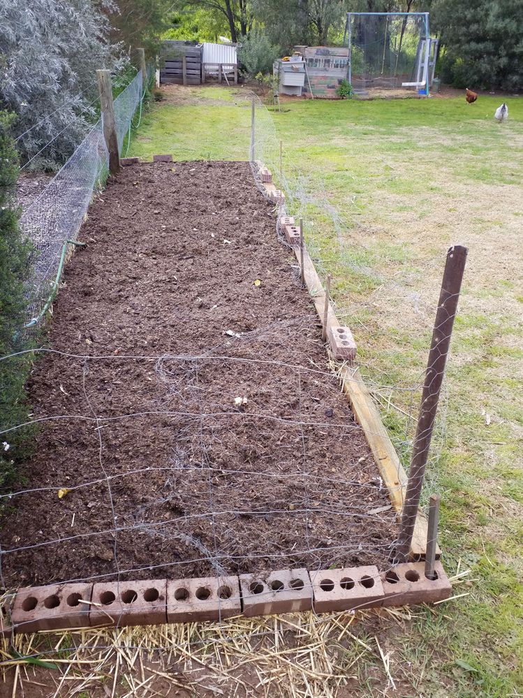 Home made compost went on next. There are some green leaves in it as one of the kids put them in the wrong compost bay. No biggie and yep, I wet this layer down too.
