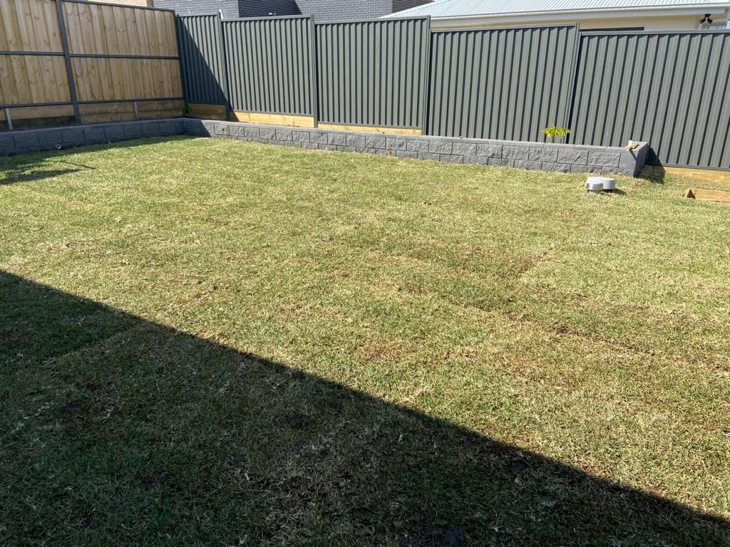 Solved Lawn Watering and growing of Grass Bunnings community