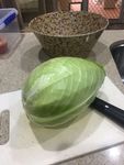 Sweet cabbage