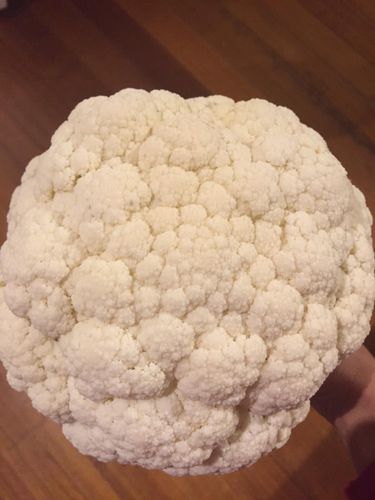 Cauliflower harvest.. really pleased with this..