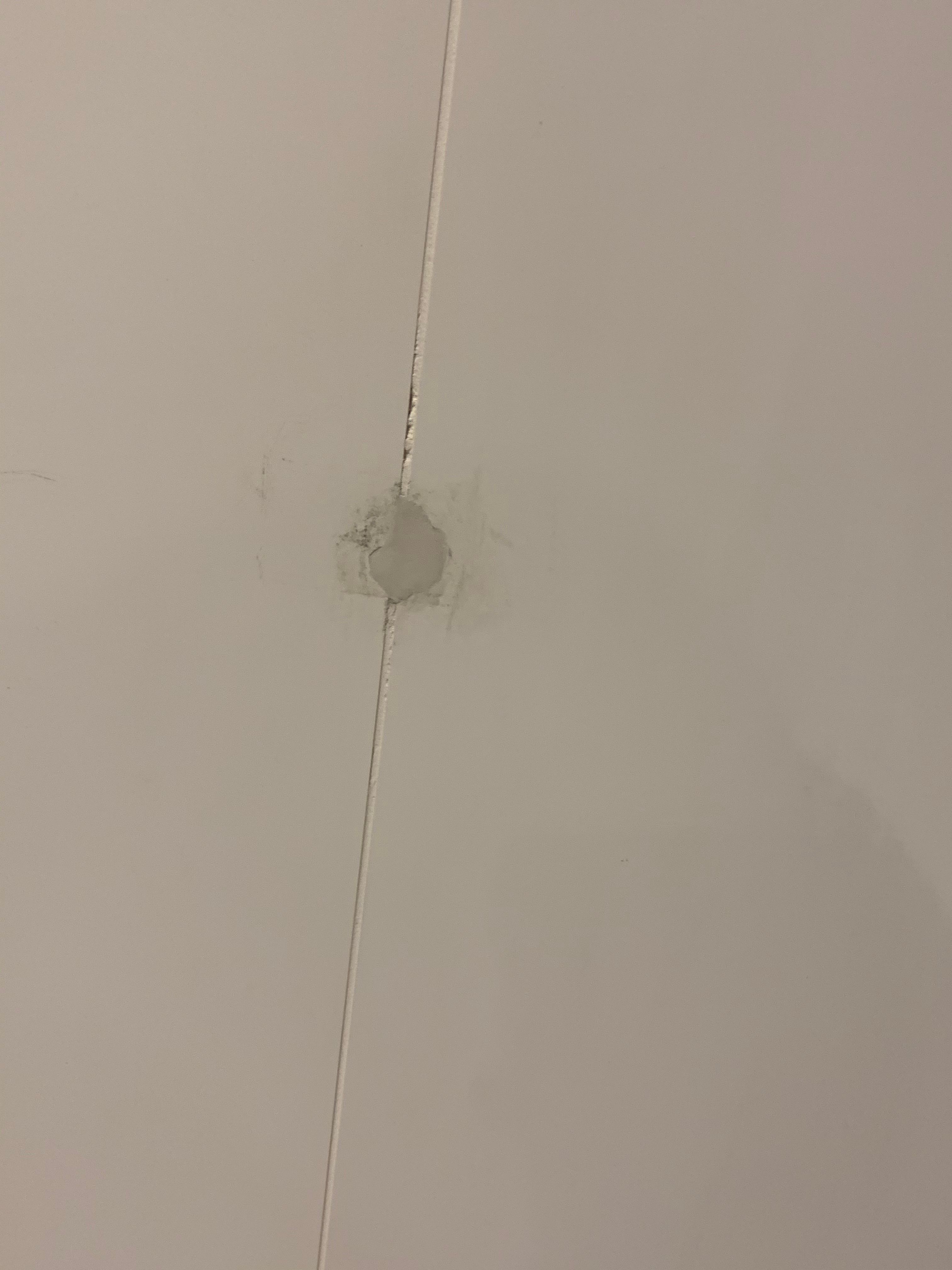 How to fix a hole in the toilet wall? Bunnings community