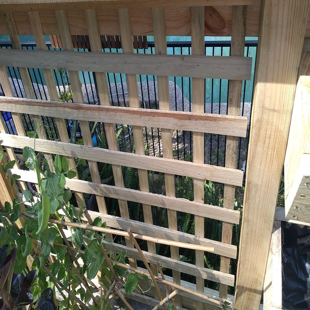 10.1 Lattice in place.jpg