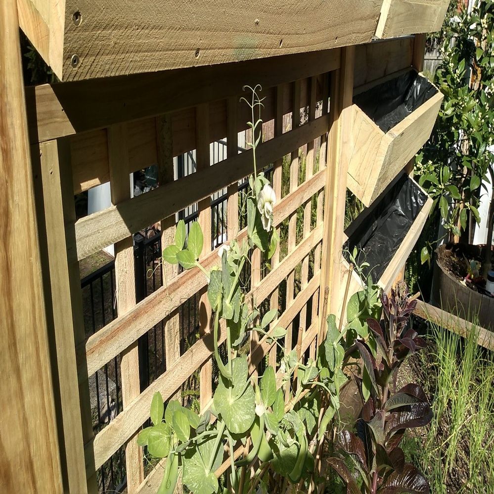 10.3 Lattice in position.jpg