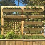 10.6 Finished and planted up.jpg