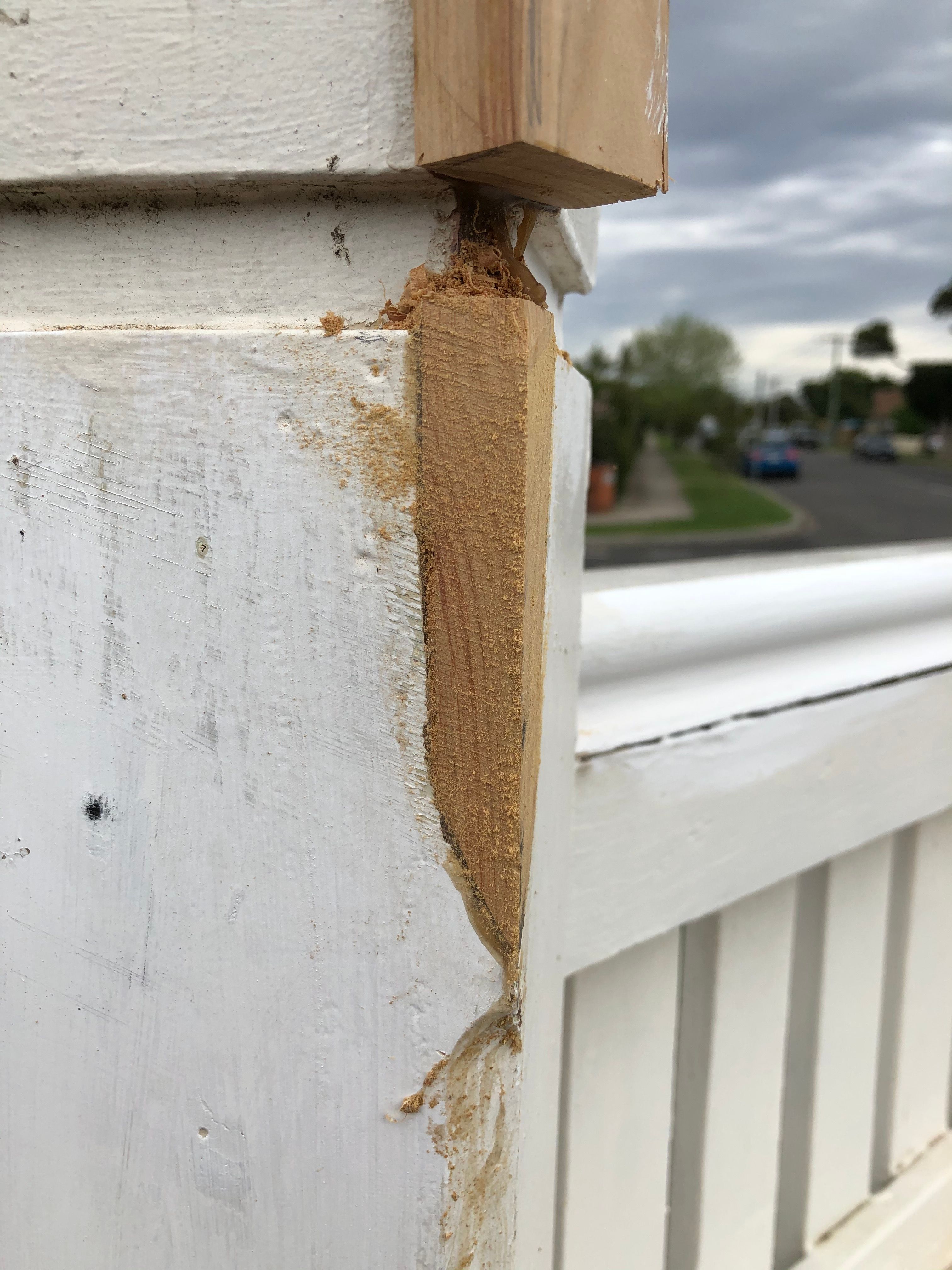 Front fence post repair corner rotting t... Bunnings community