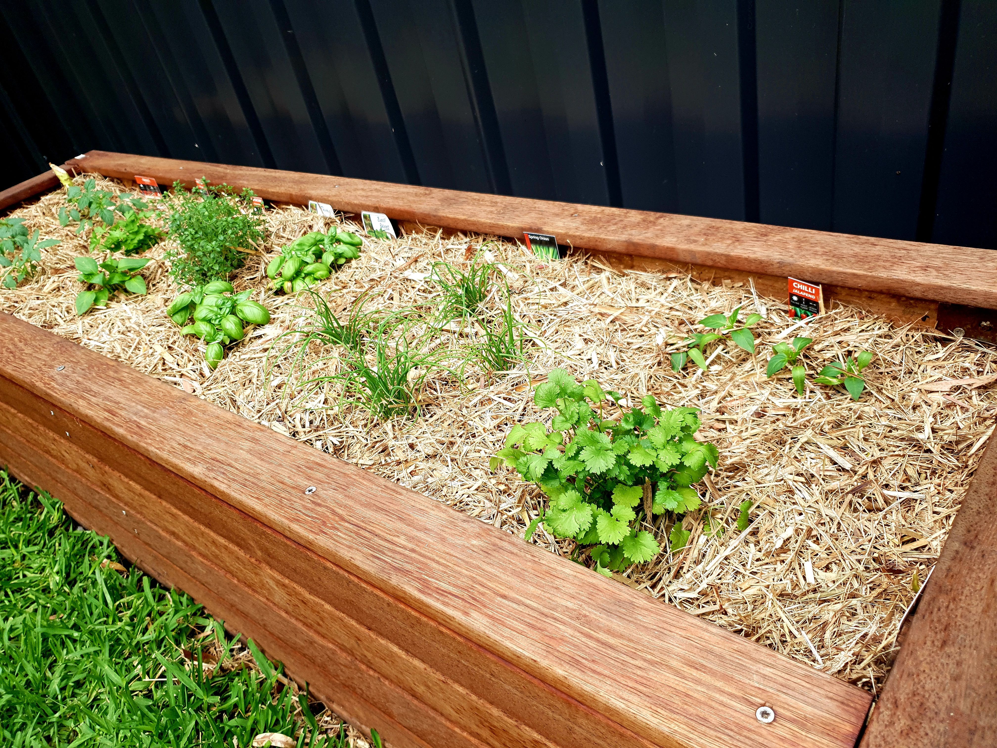 Herb garden Bunnings community