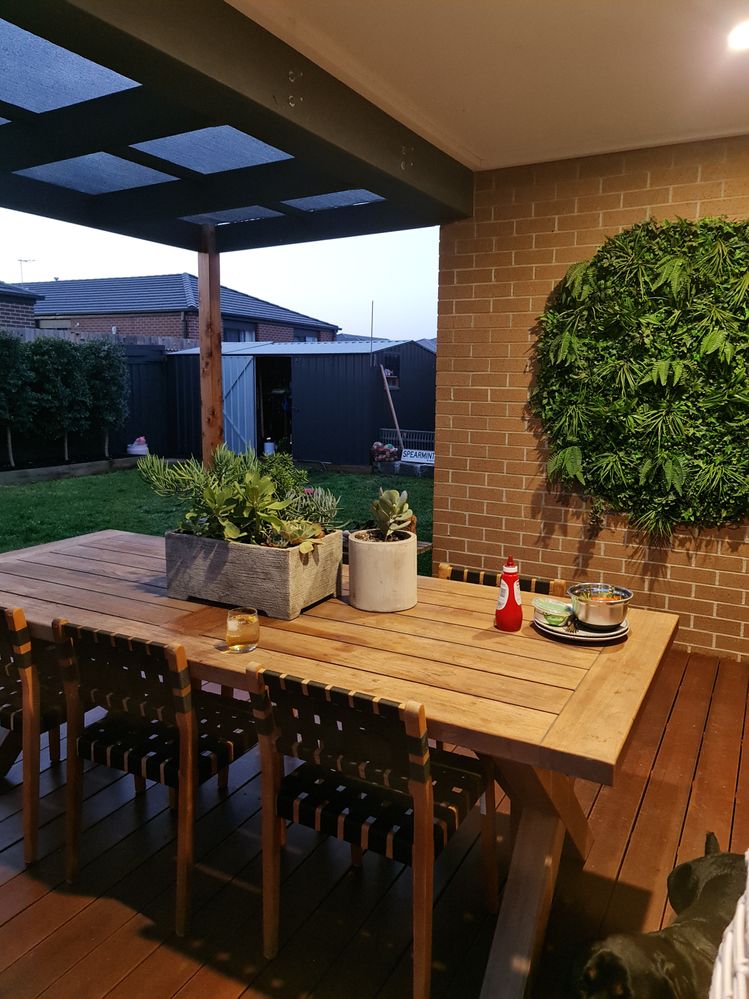 Outside dinners are becoming a thing at our house!