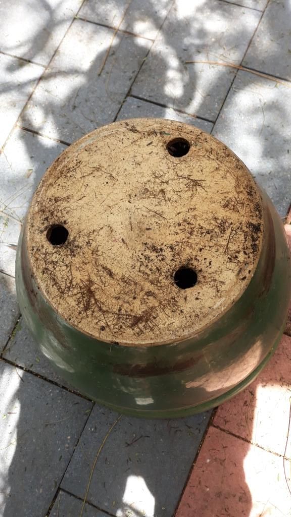 Solved Sealing drainage holes in a ceramic pot Bunnings