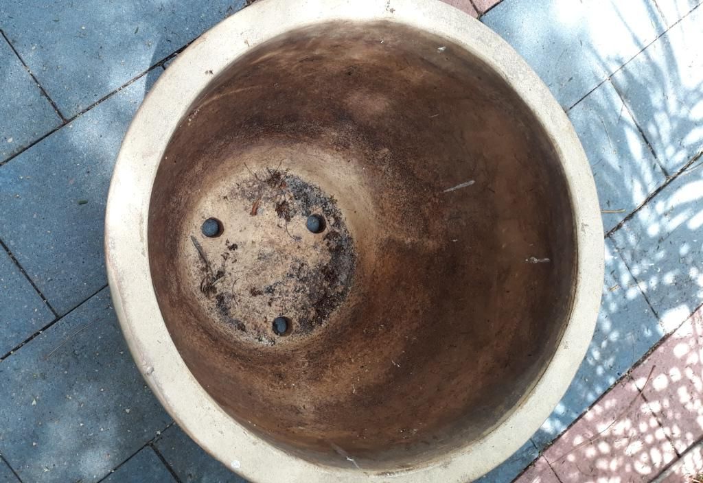 Solved Sealing drainage holes in a ceramic pot Bunnings