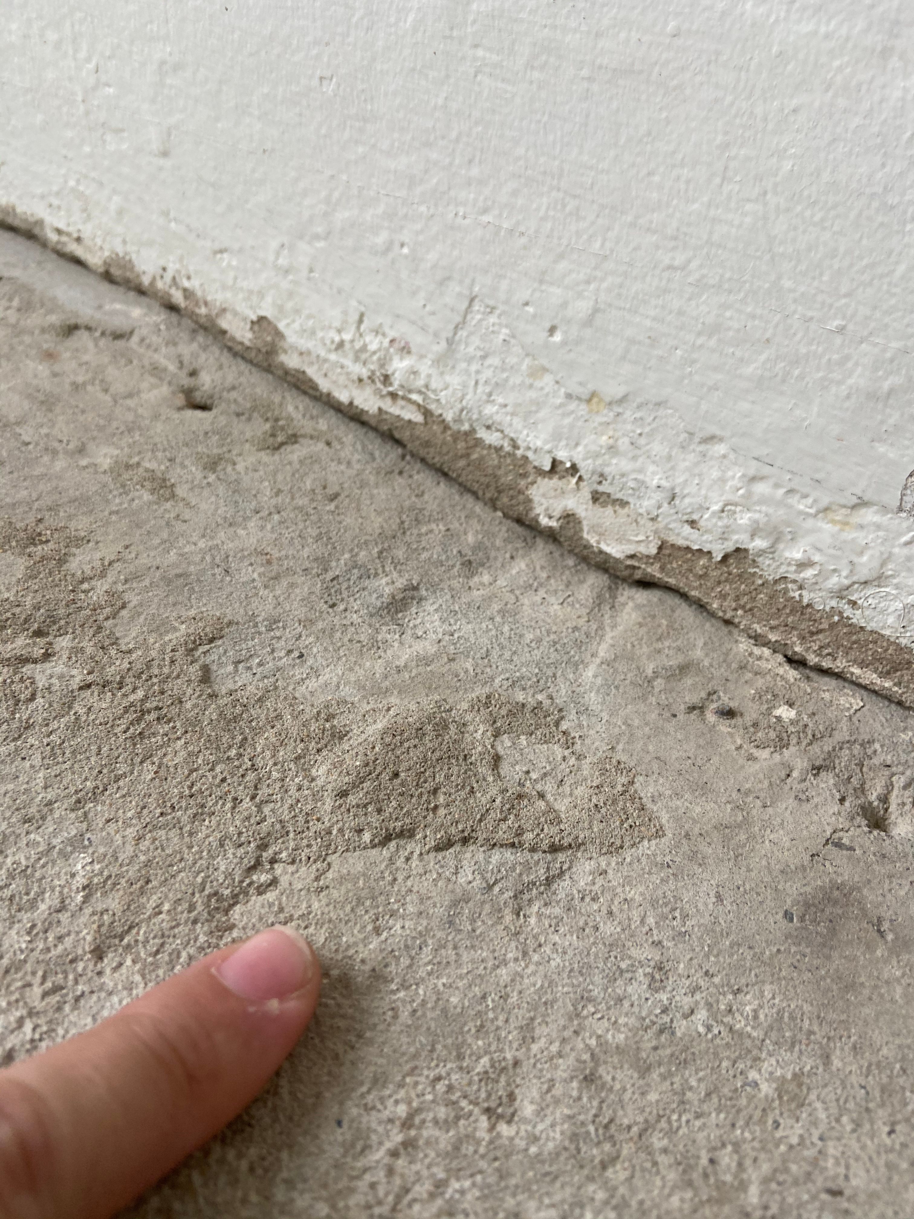 How to get concrete ready for sealing/st... | Bunnings Workshop community