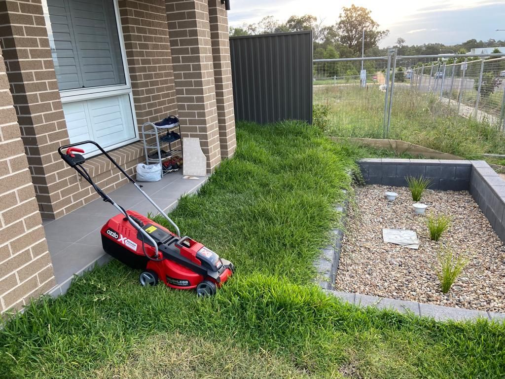 Mower and Grass on front yard.jpeg