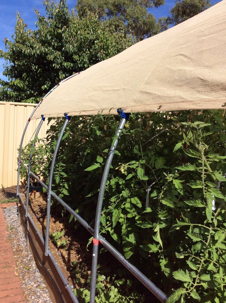 Our new hoop shade house