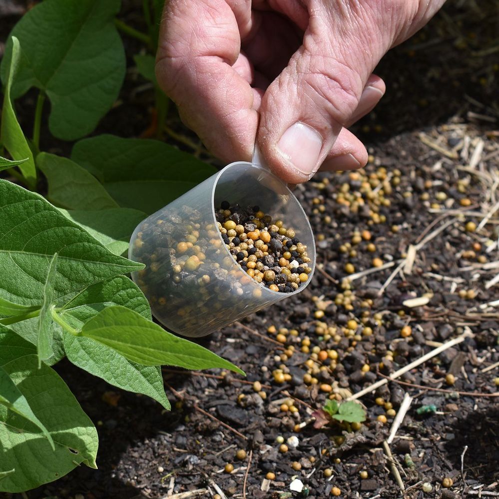 6.1 Apply granular fertiliser along a row.jpg
