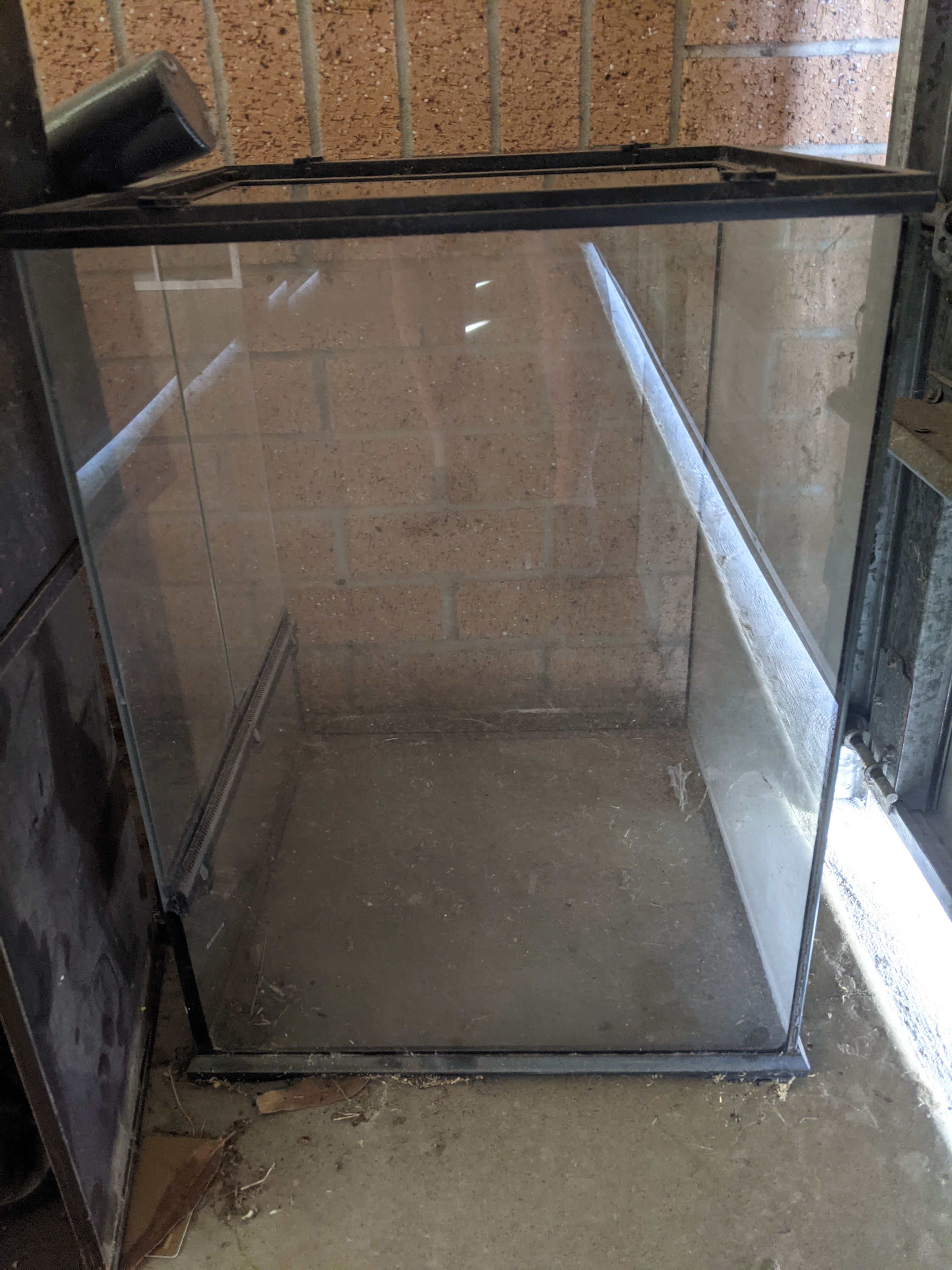 Re How to make your own terrarium Page 2 Bunnings community