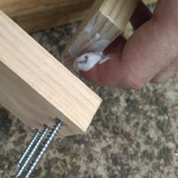 4.1 Applying glue and screwing shelves.jpg