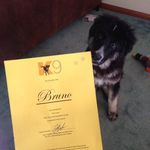 Bruno Graduation.jpg