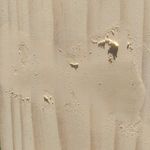 6.3 Final skim coat of putty.jpg