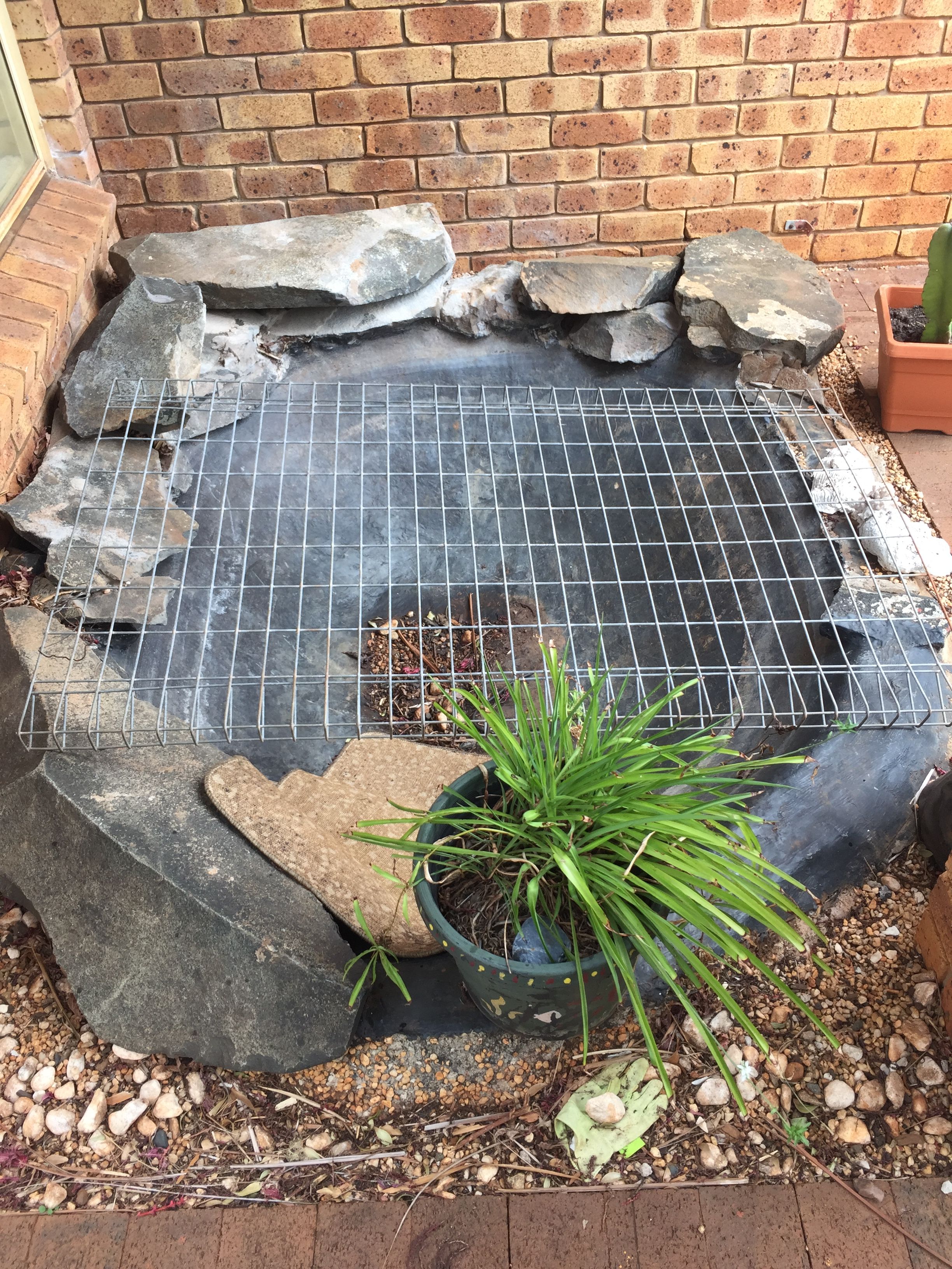 Filling in a concrete pond ideas | Bunnings Workshop community