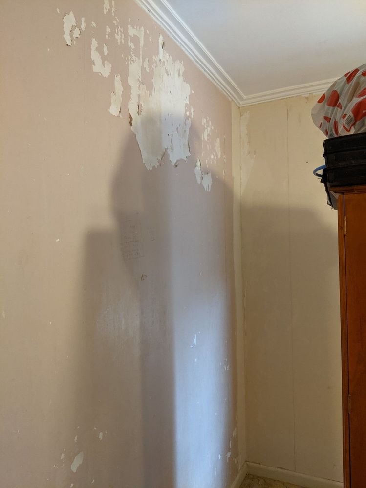Painting Walls After Removing Wallpaper Bunnings Work Community - How To Paint Over Wall After Removing Wallpaper