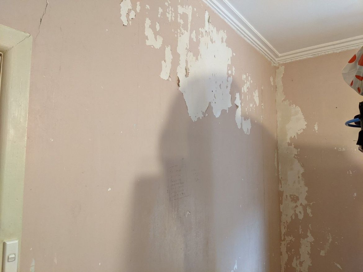Painting walls after removing wallpaper | Bunnings Workshop community