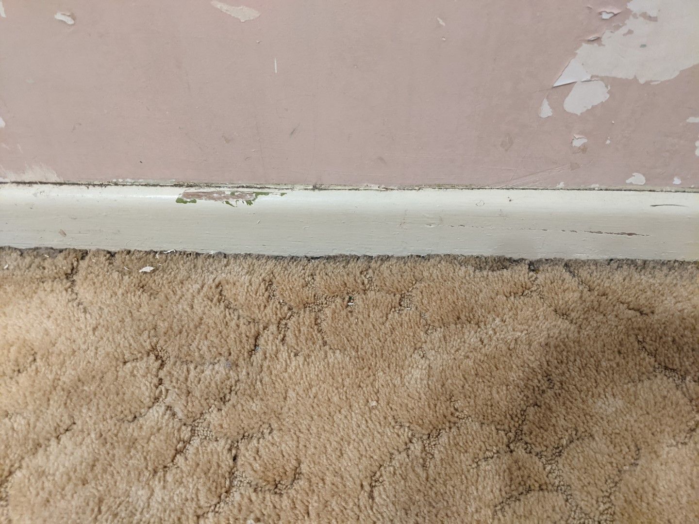 Painting walls after removing wallpaper Bunnings