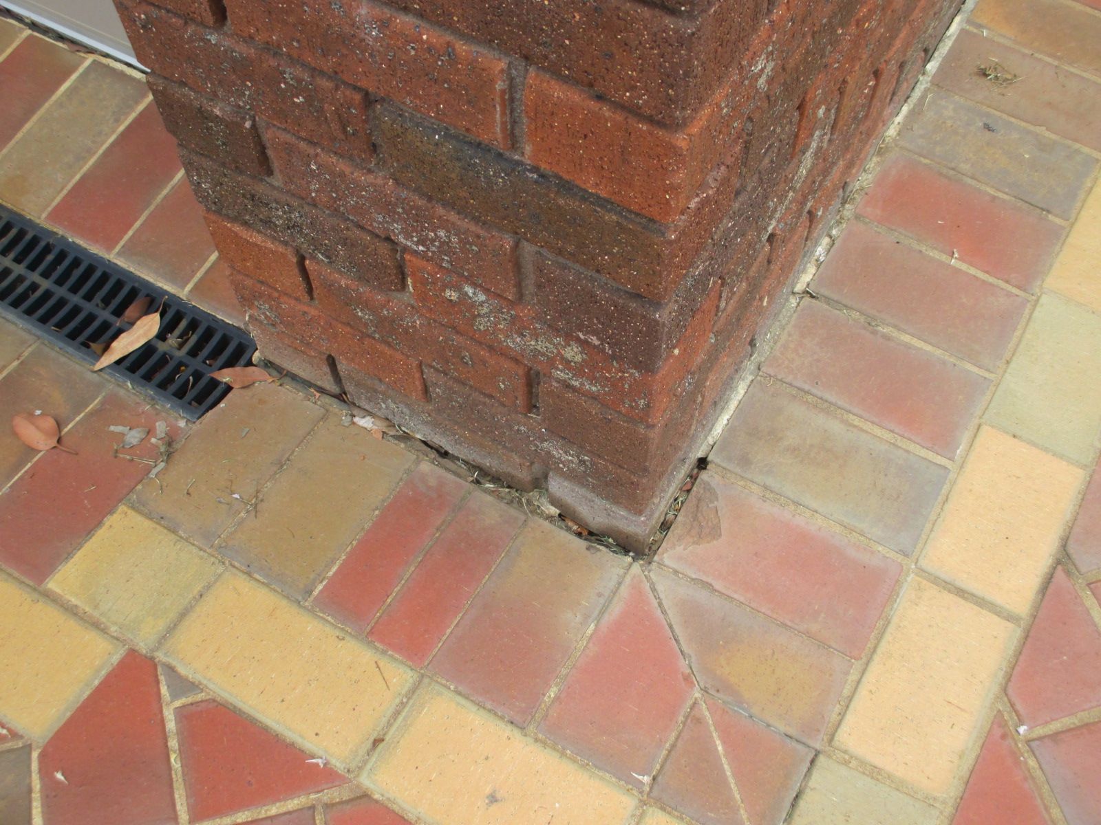 How to seal pavers and fill gaps? Bunnings community