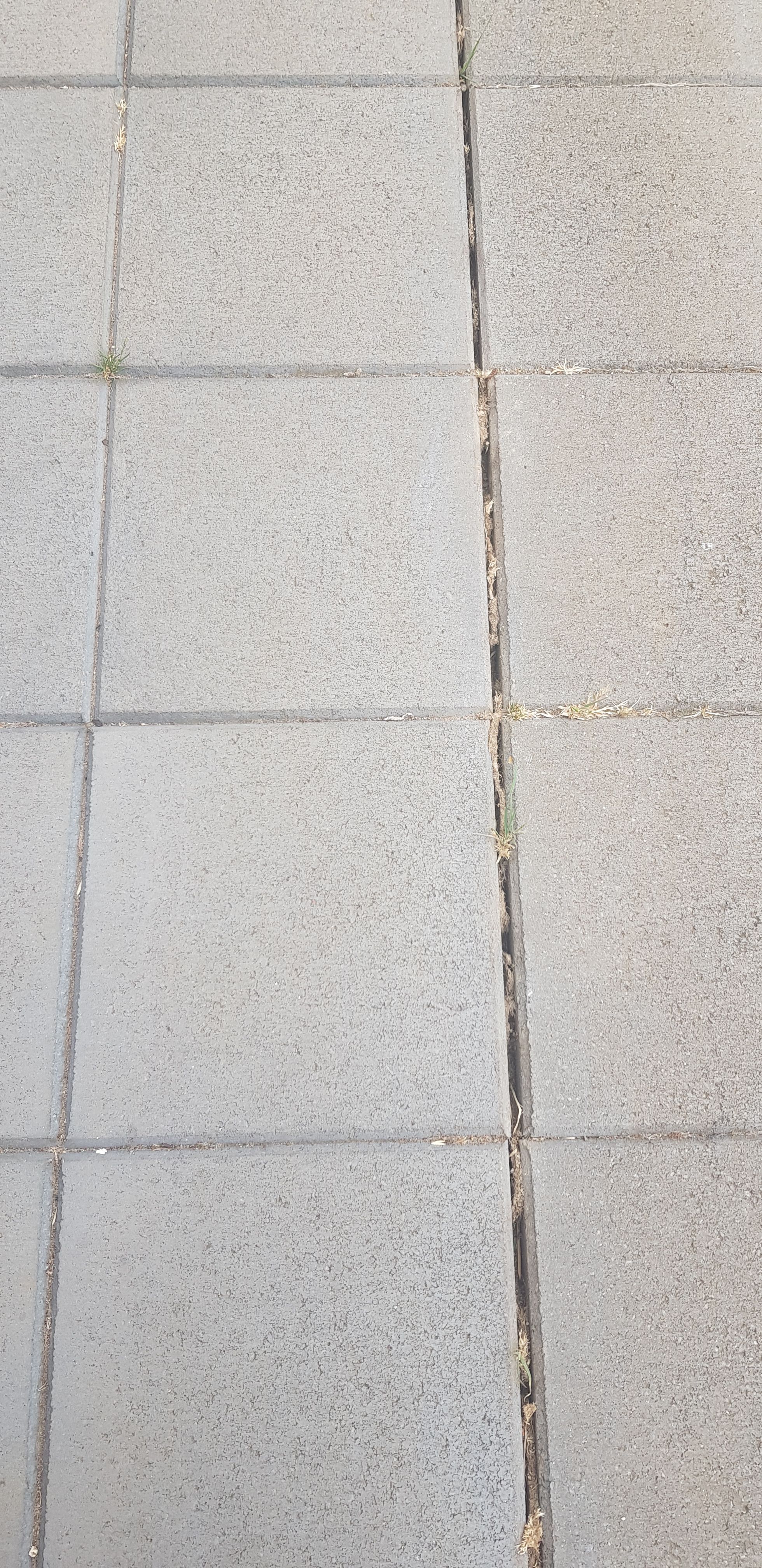 Patio concrete paving repair Bunnings community