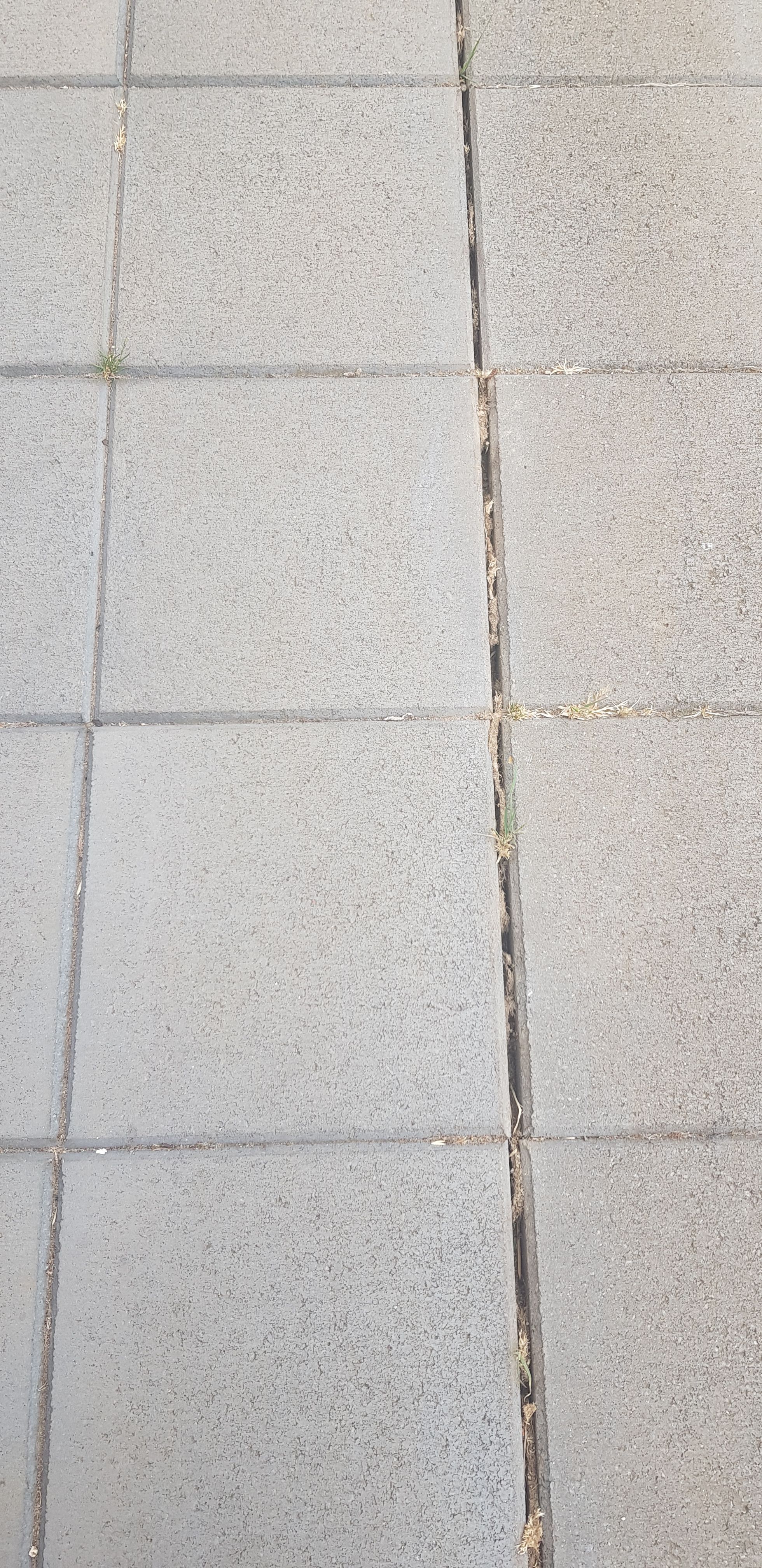 Patio concrete paving repair | Bunnings Workshop community