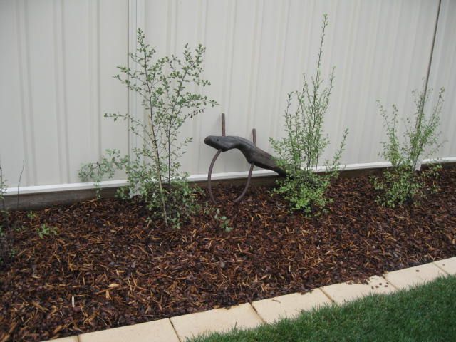 Part of a Bullock Yoke