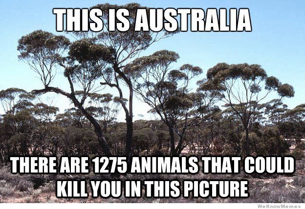 this-is-australia.jpeg