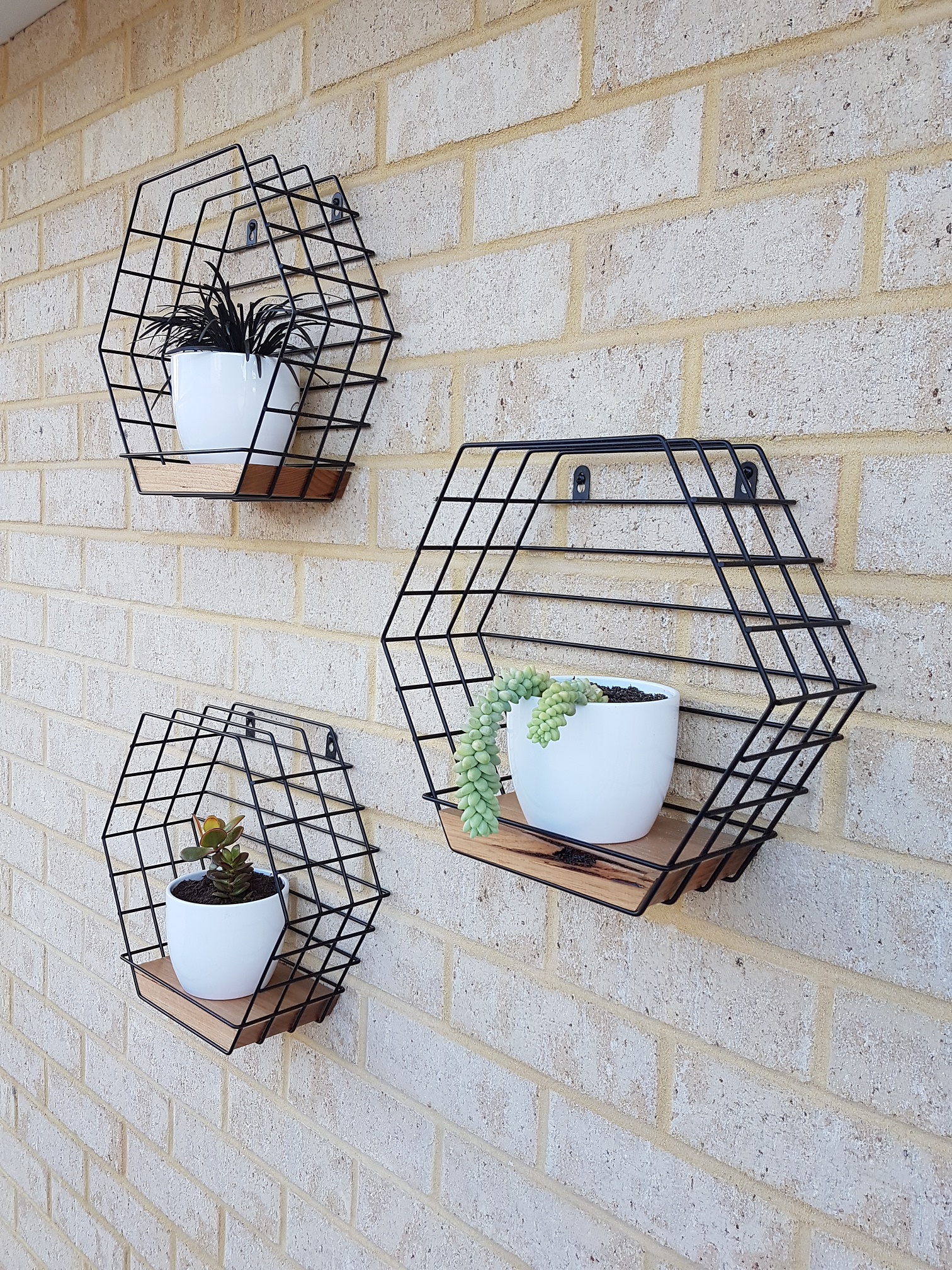 Outdoor wall display, custom wood insert... | Bunnings Workshop community