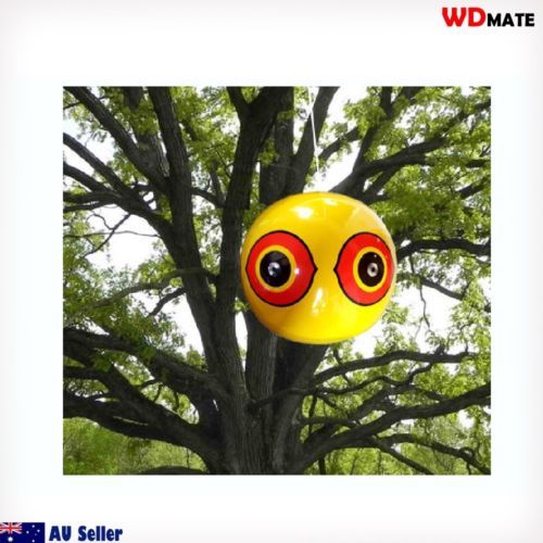 Scare Eye Balloon.jpg