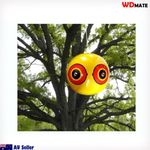 Scare Eye Balloon.jpg