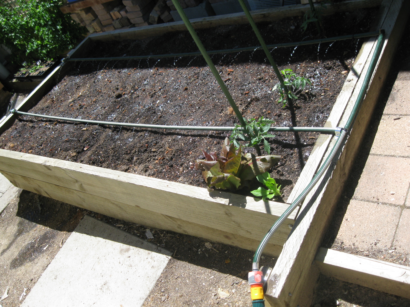 Ultra cheap and easy irrigation system u... Bunnings community